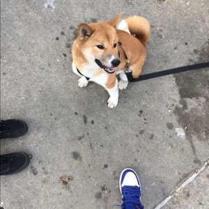 Meet your Posher, Sandi